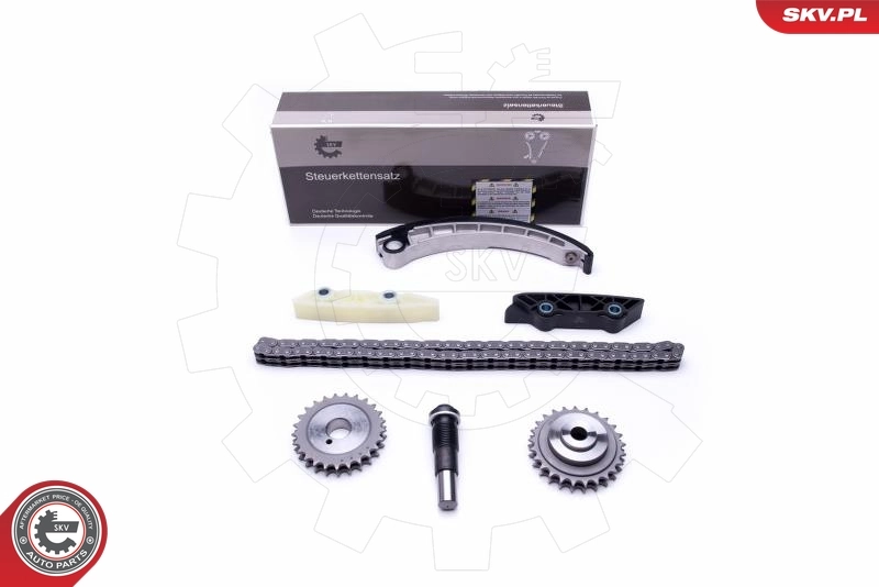 Timing Chain Kit